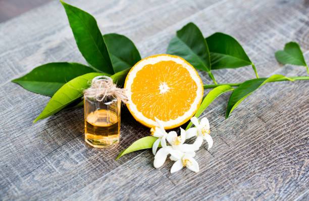 Orange Blossom Oil Oils That Help Speed Up Your Metabolism