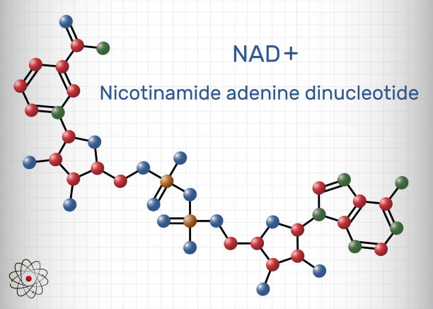 Niacinamide For Poor Circulation