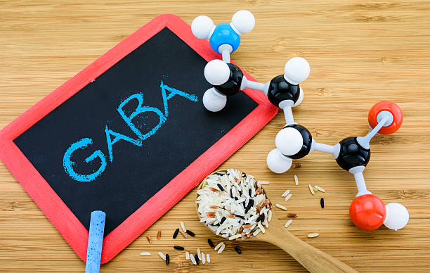 Don't Use Gaba If You're Pregnant Or Breastfeeding