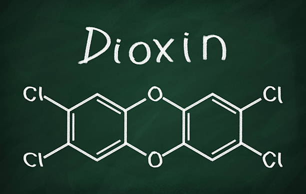 Dioxin as Xenoestrogens