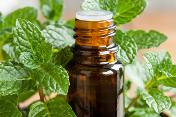 Peppermint Oils That Help Speed Up Your Metabolism