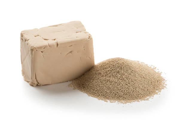 What are the Properties of Brewer's Yeast?