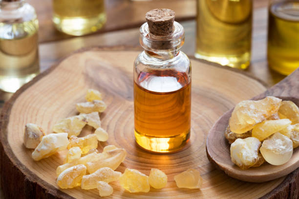 Frankincense Oil Oils That Help Speed Up Your Metabolism